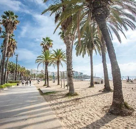 Apartbeach Festival Village Vistas Playa Y Piscinas